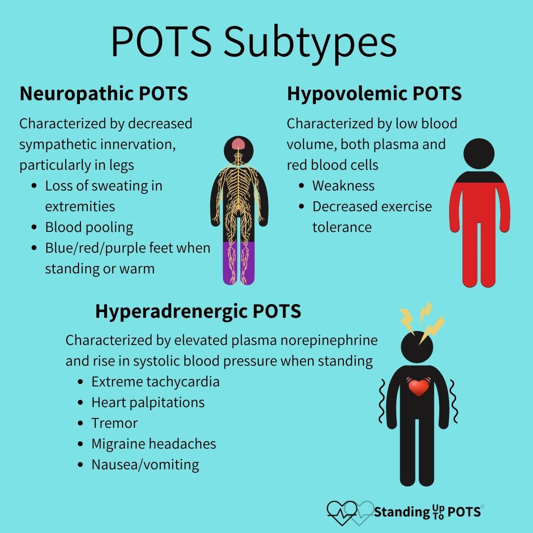 Postural Orthostatic Tachycardia Syndrome Subtypes and Associated Disorders