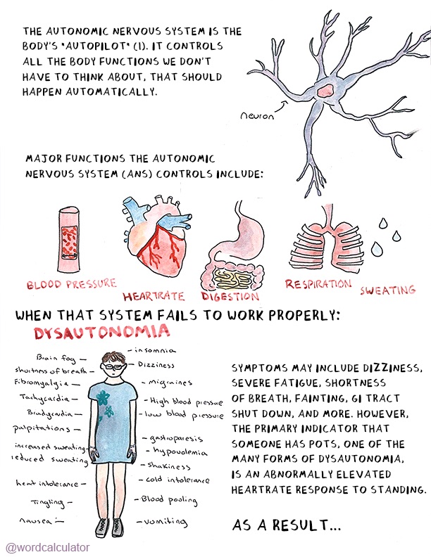 Autonomic Nervous system